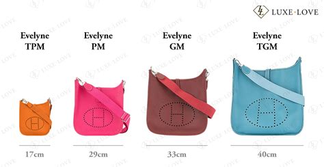 mini evelyne size
